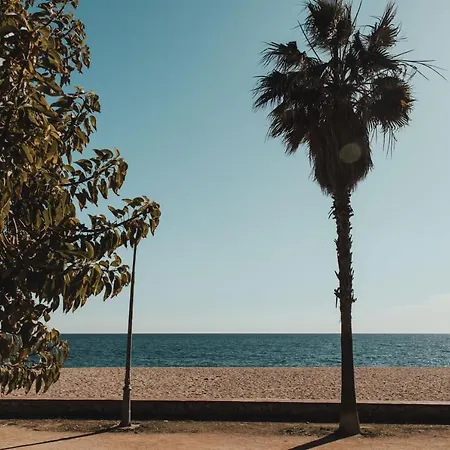 El Petit Palauet Canet De Mar