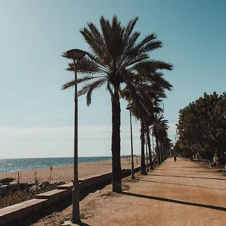 El Petit Palauet 3*